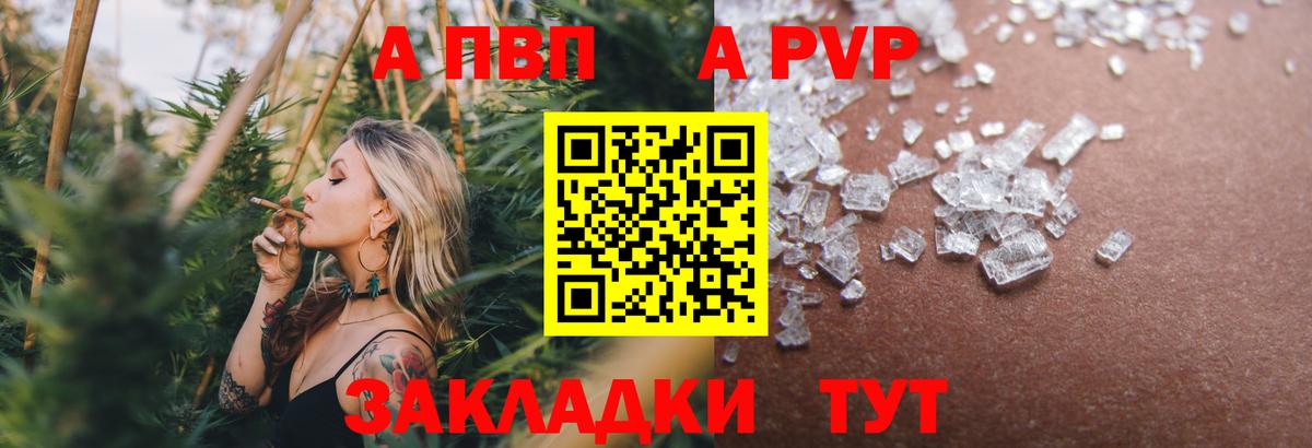 Alfa_PVP СК Волхов