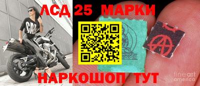 Альфа ПВП Обнинск