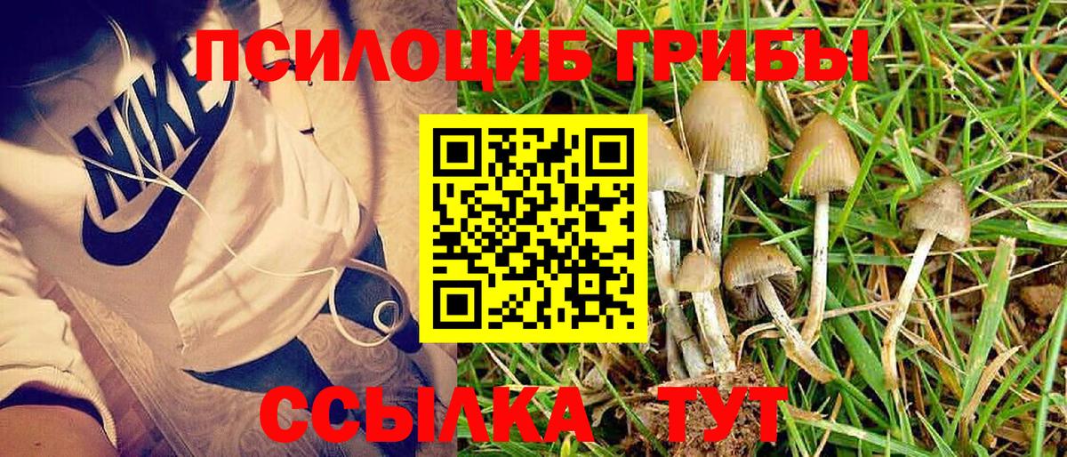 Волхов  Галлюциногенные грибы Magic Shrooms  Вход с VPN 