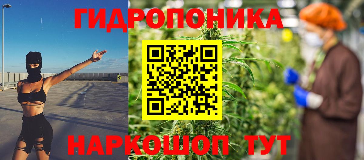 Канабис сатива  Канабис White Widow  Канабис THC 21%  Волхов  Вход с VPN 